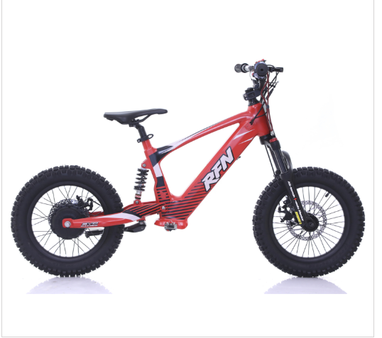 RFN Evo 18 Electric Bike