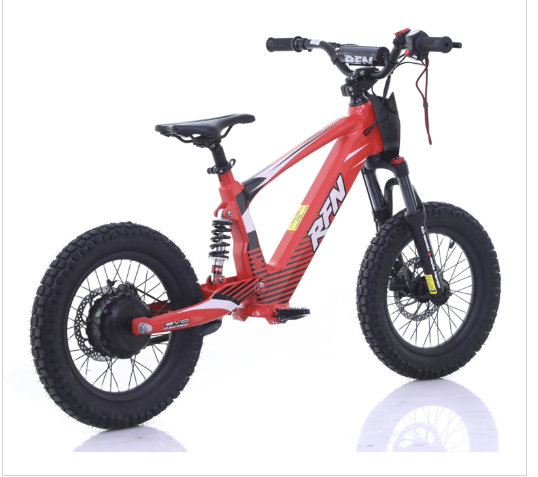 RFN Evo 18 Electric Bike