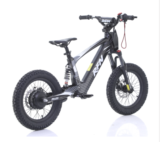 RFN Evo 18 Electric Bike