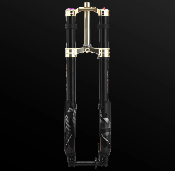 RFloXa Hawk31 Max (Gold)