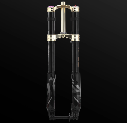 RFloXa Hawk31 Max (Gold)