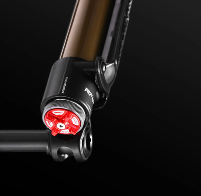 RFloXa Hawk31 Max (Gold)