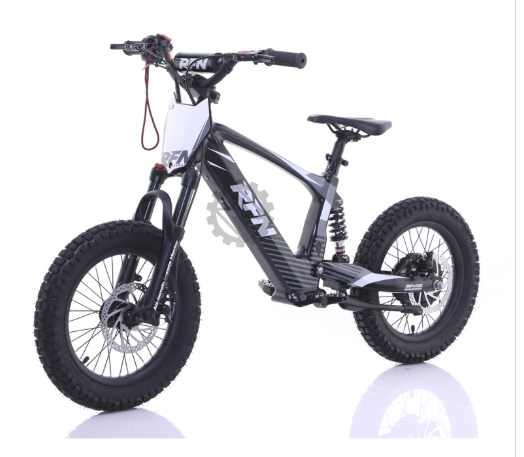 RFN Evo 18 Electric Bike