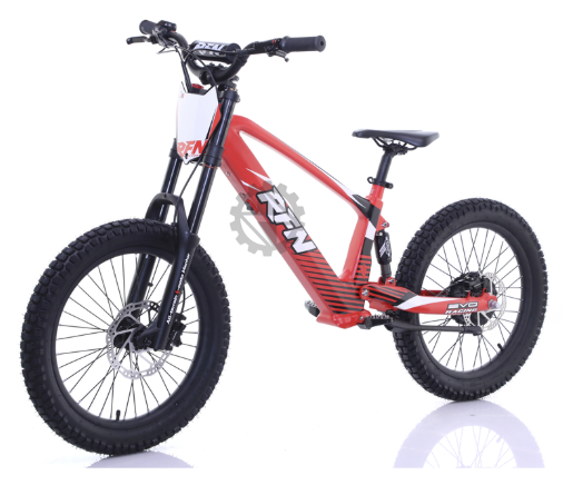 RFN Evo 20 Electric Bike