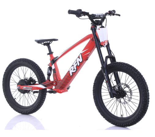 RFN Evo 20 Electric Bike