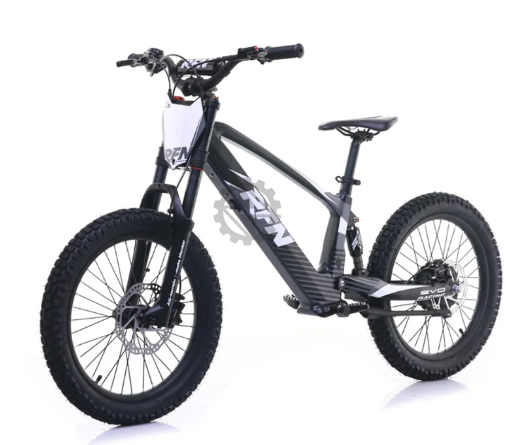RFN Evo 20 Electric Bike
