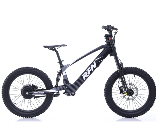 RFN Evo 20 Electric Bike